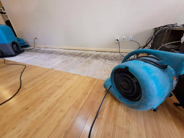 Professional Burst Pipe Water Damage technician working in Sophia, WV